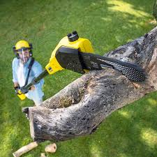 Best Weed Control  in Lame Deer, MT